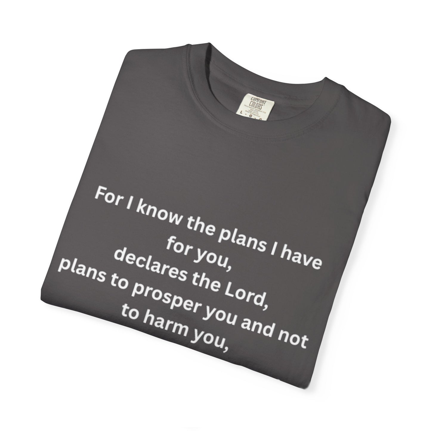 Jereimah Bible Qoute Tee