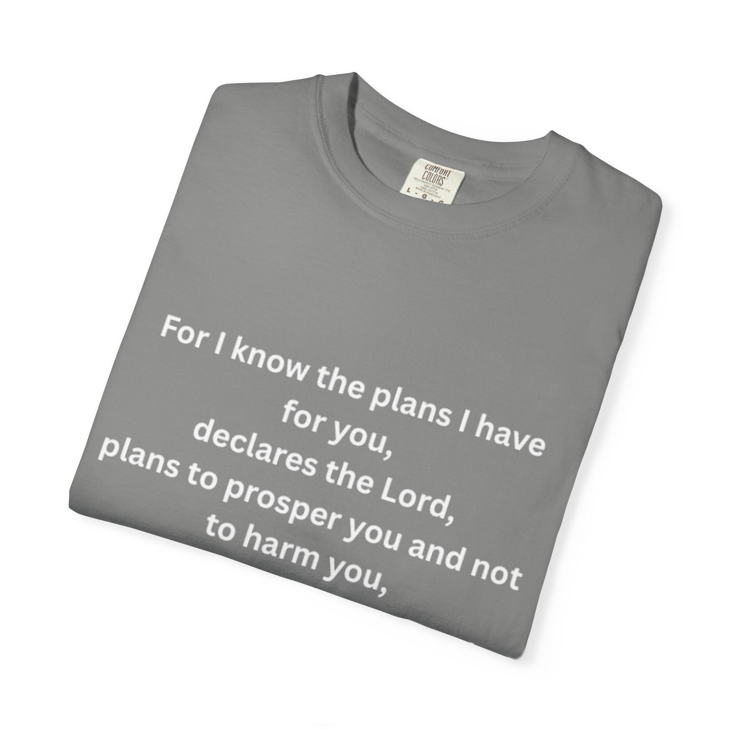 Jereimah Bible Qoute Tee