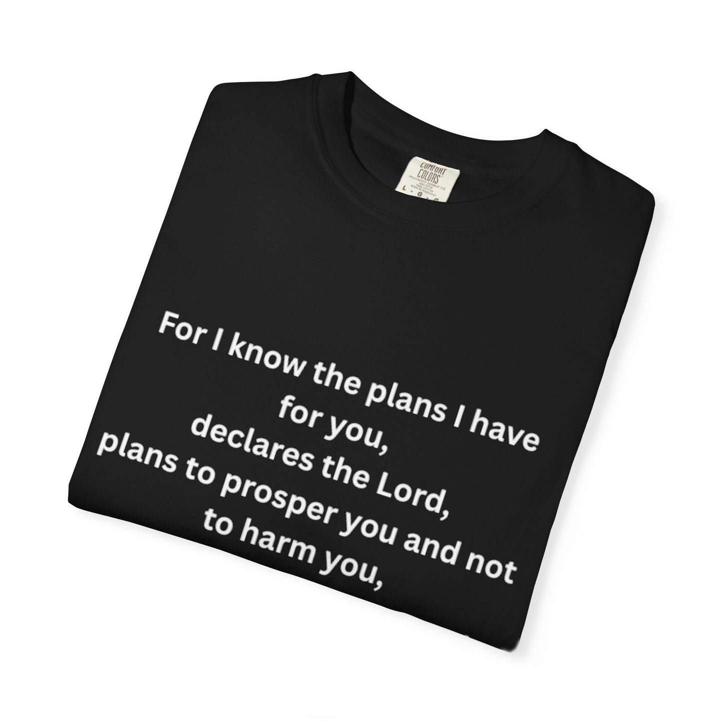 Jereimah Bible Qoute Tee