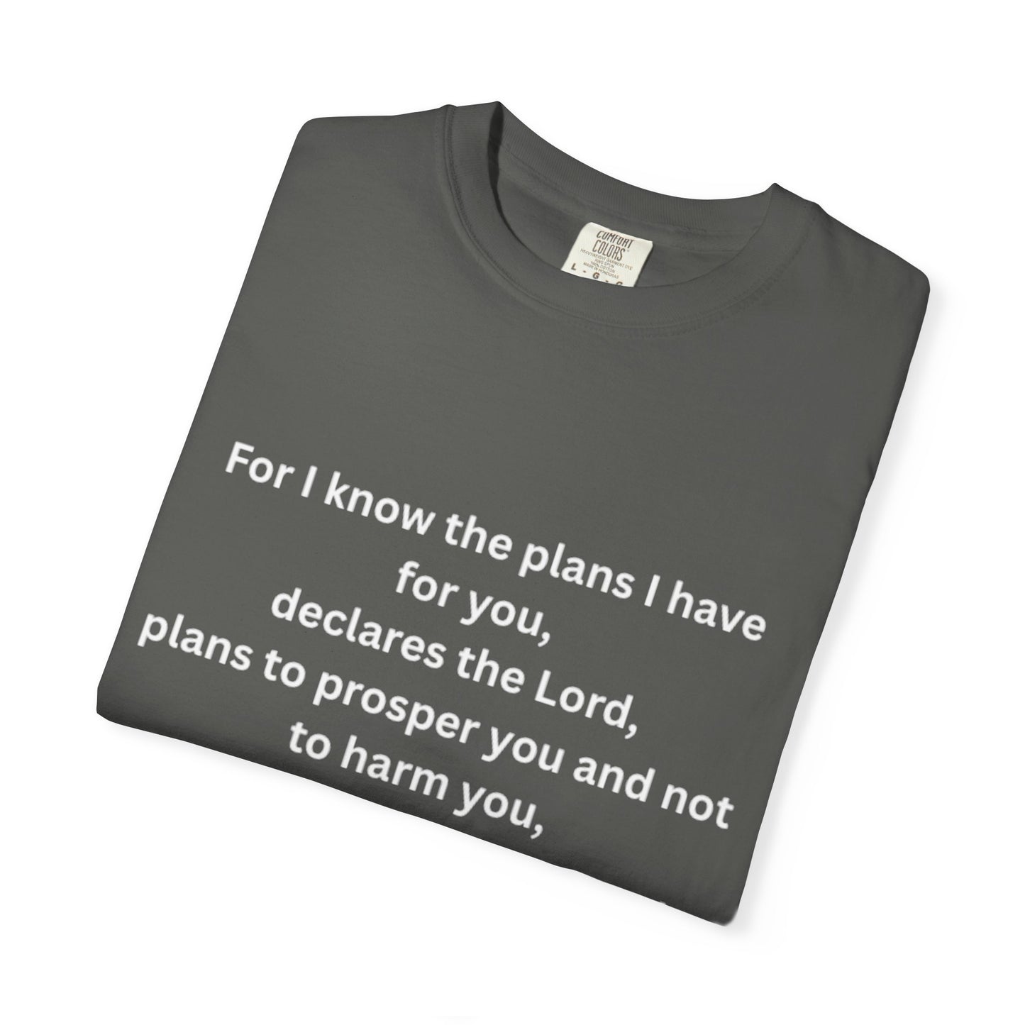 Jereimah Bible Qoute Tee